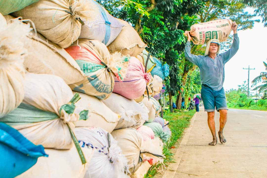 DA commits over P2B for Bohol agri sector