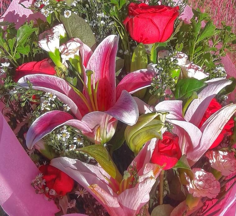 Bohol cemeteries closed on Oct. 29 to Nov. 2 for Kalag-Kalag 2021