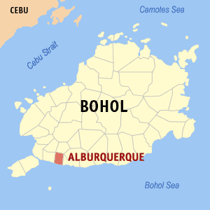 BREAKING: Ex-Albur mayor Tungol arrested for ‘illegal’ firearms