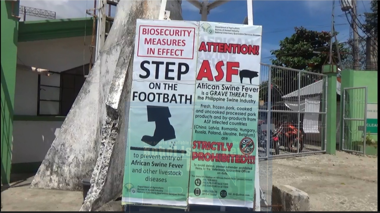 No more free ASF disinfection for vehicles crossing to Bohol