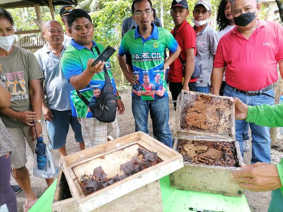 Batuan starts bid to become Bohol’s stingless bee capital
