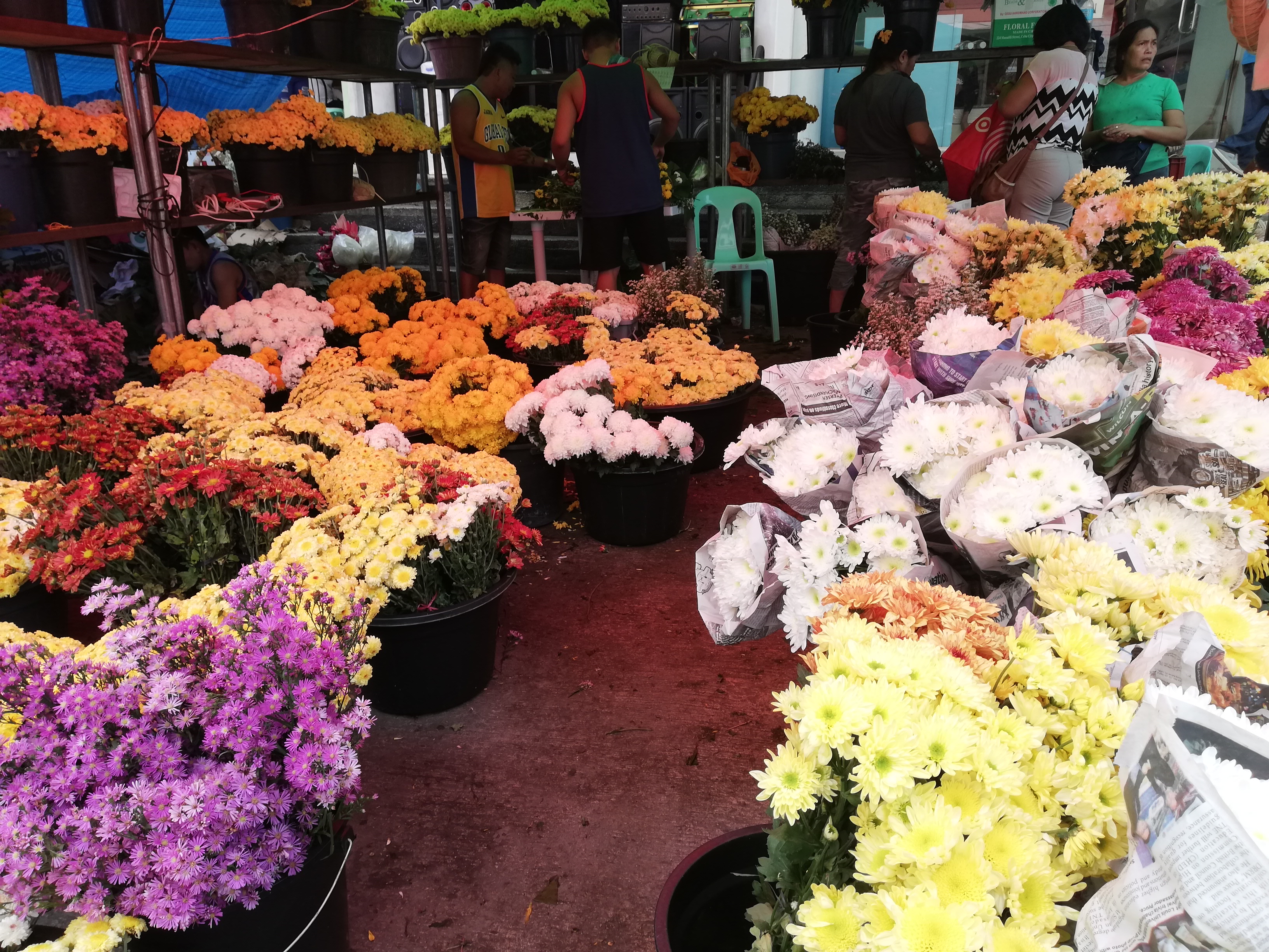 Prices of flowers in Tagbilaran expected to go up on Nov. 1 & 2
