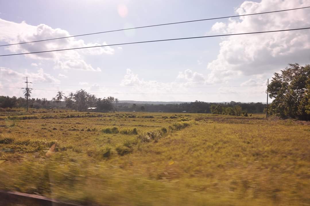 RCM magdugang sa ani sa mga Ubayanon