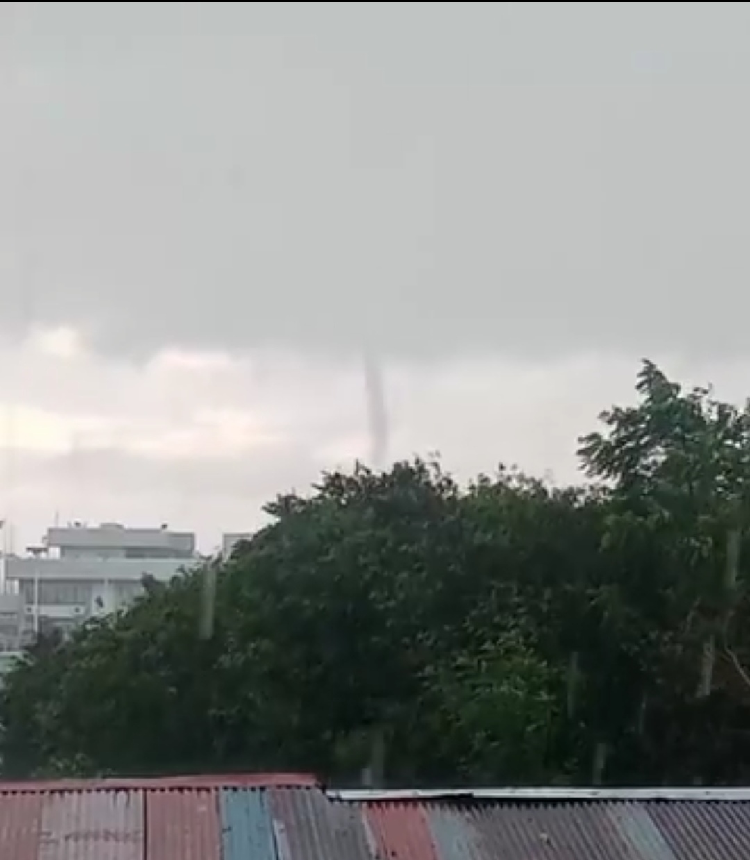 ‘Ipo-ipo’ spotted in Tagbilaran