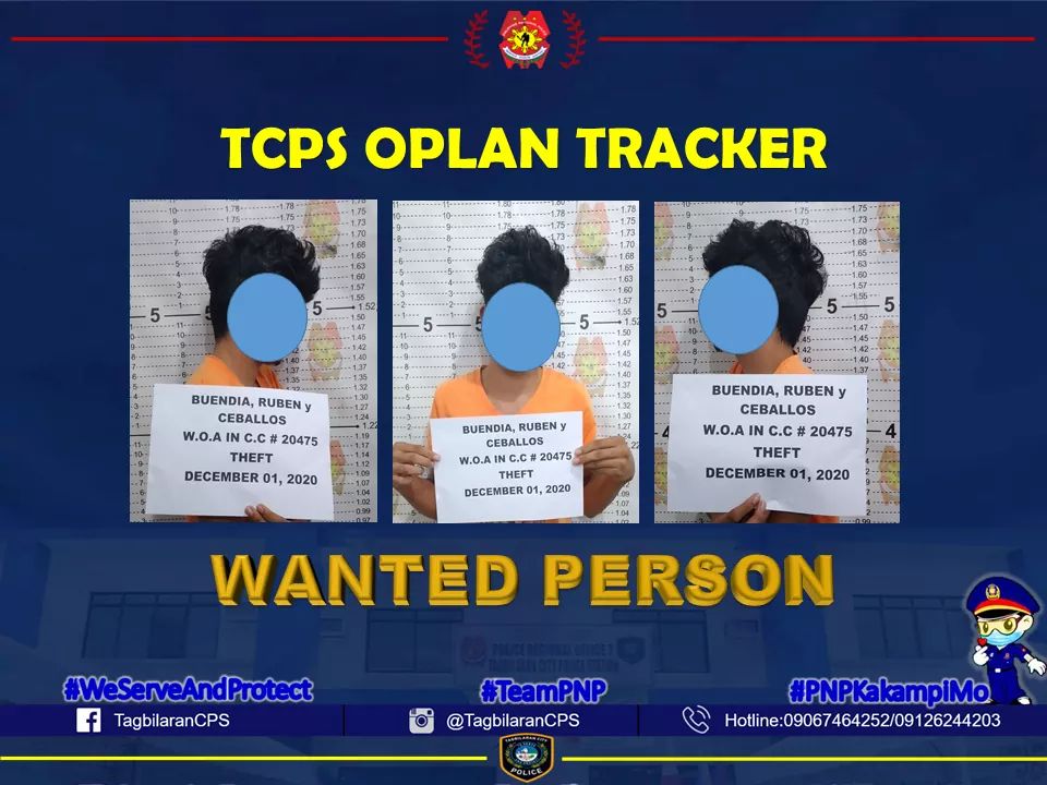Teenager wanted for theft arrested