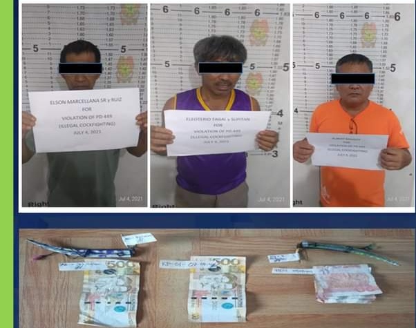 3 arrested for illegal cockfighting in Tagbilaran