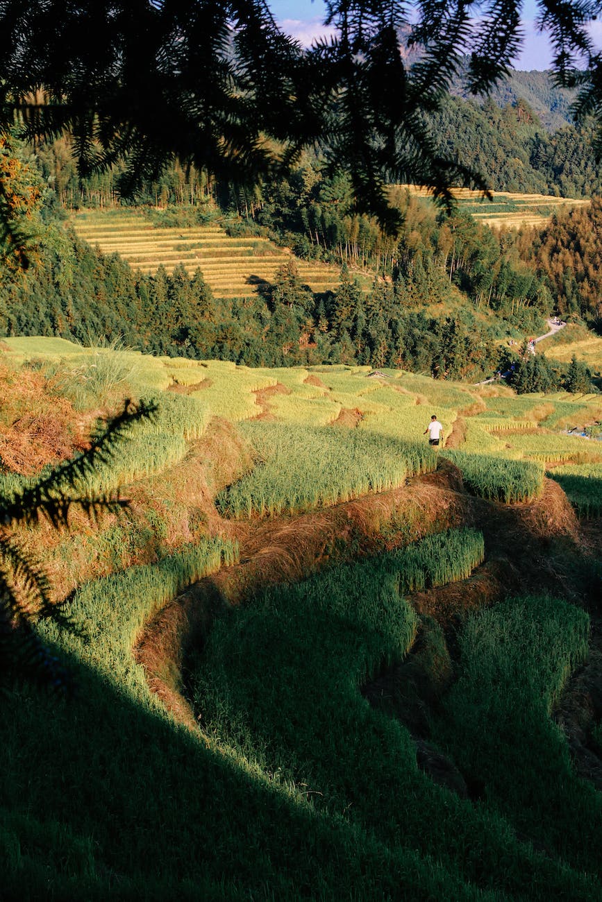 Paggamit sa geo resistivity machines ilibre sa 6 buwan, sugyot ni Lagunay