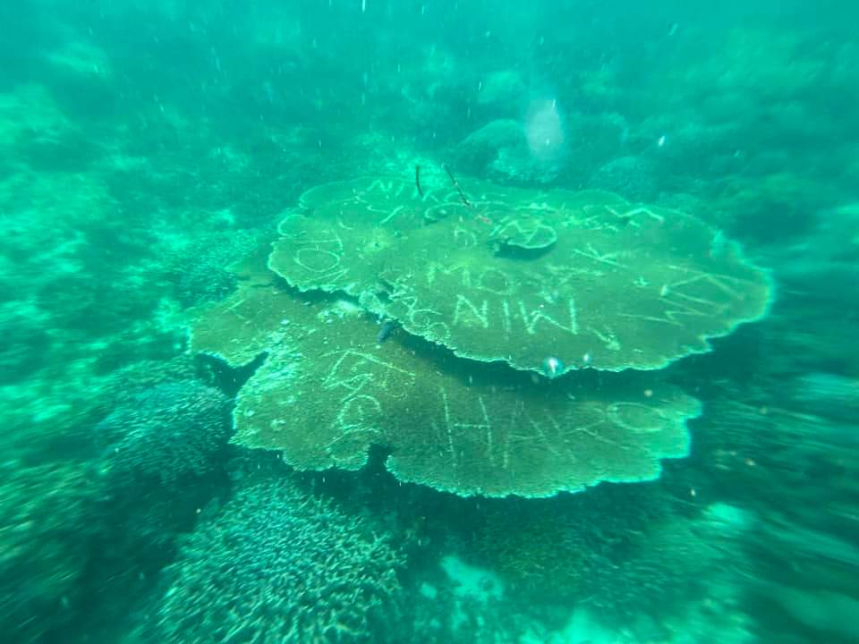 Who are ‘Mojak’ and ‘Min’? Vandals hit coral reef in Virgin Island