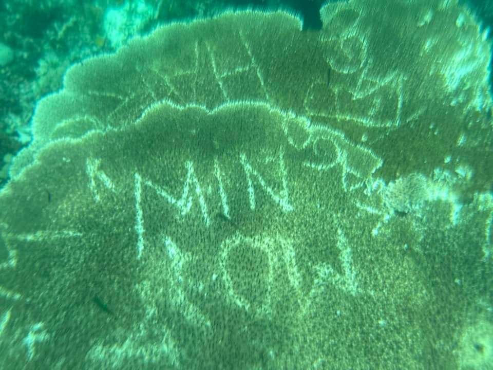 CAPITOL BACKS ESTACA CLOSURE OVER CORAL VANDALISM