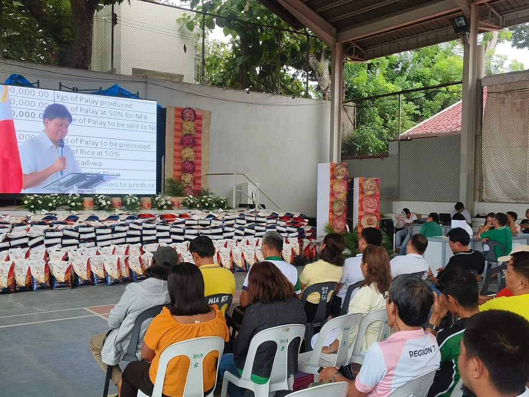 Tag P29/kilo nga bugas gilusad sa NIA-7