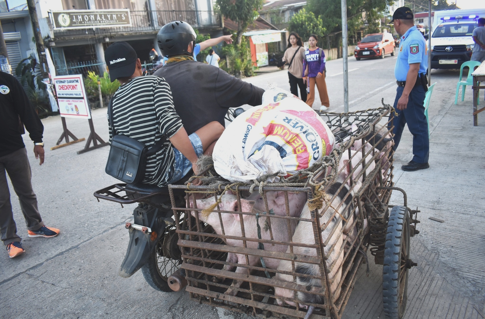 Aris EO: moratorium on boar-for hire operations, seeks trader registration