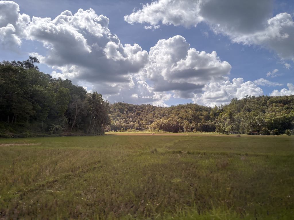 97% sa mga Bol-anon mitug-an, ‘Wala na’y nakita nga rebelde’