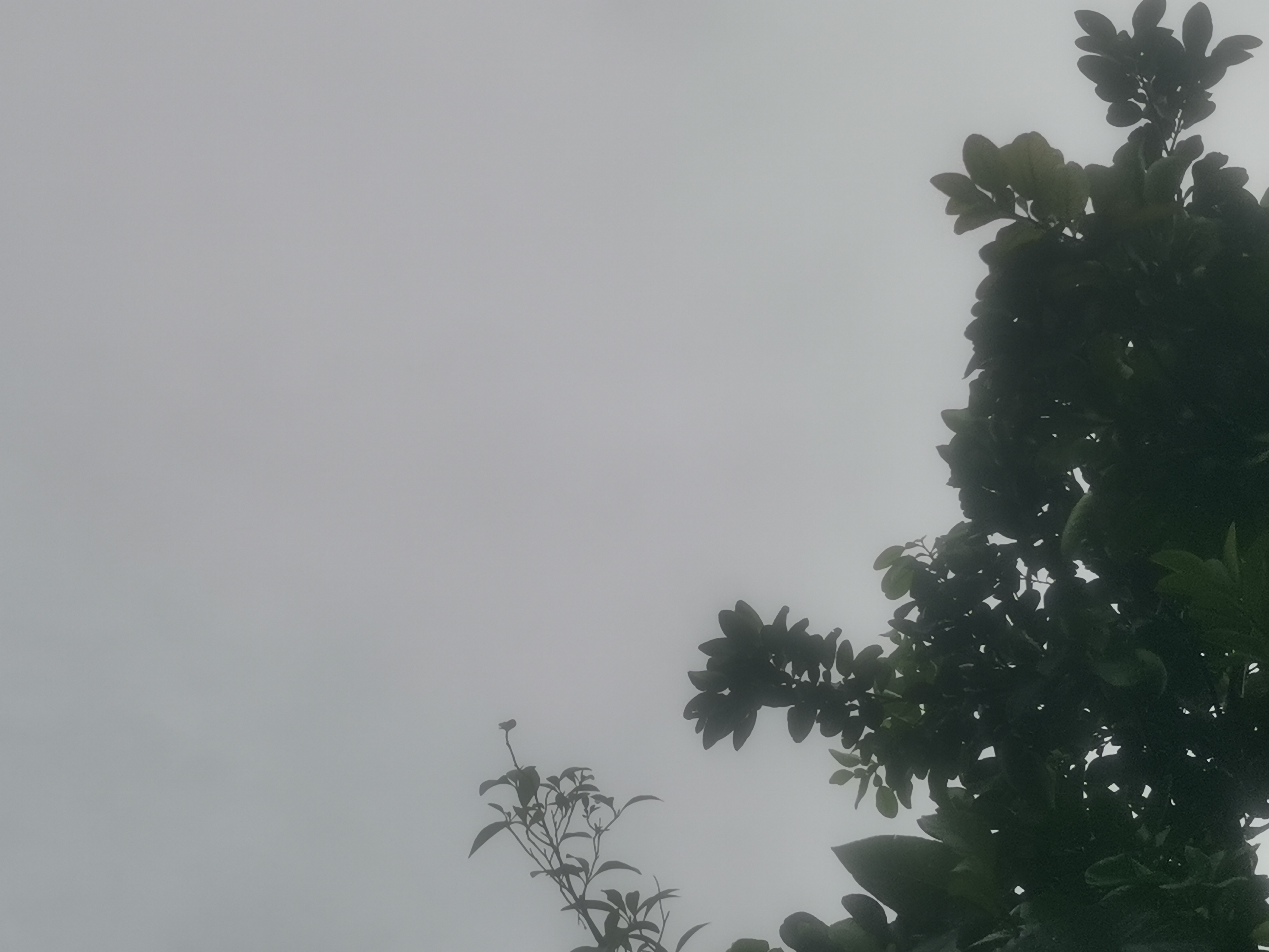 35 Bohol LGUs, including Tagbilaran, suspend classes due to Crising and habagat