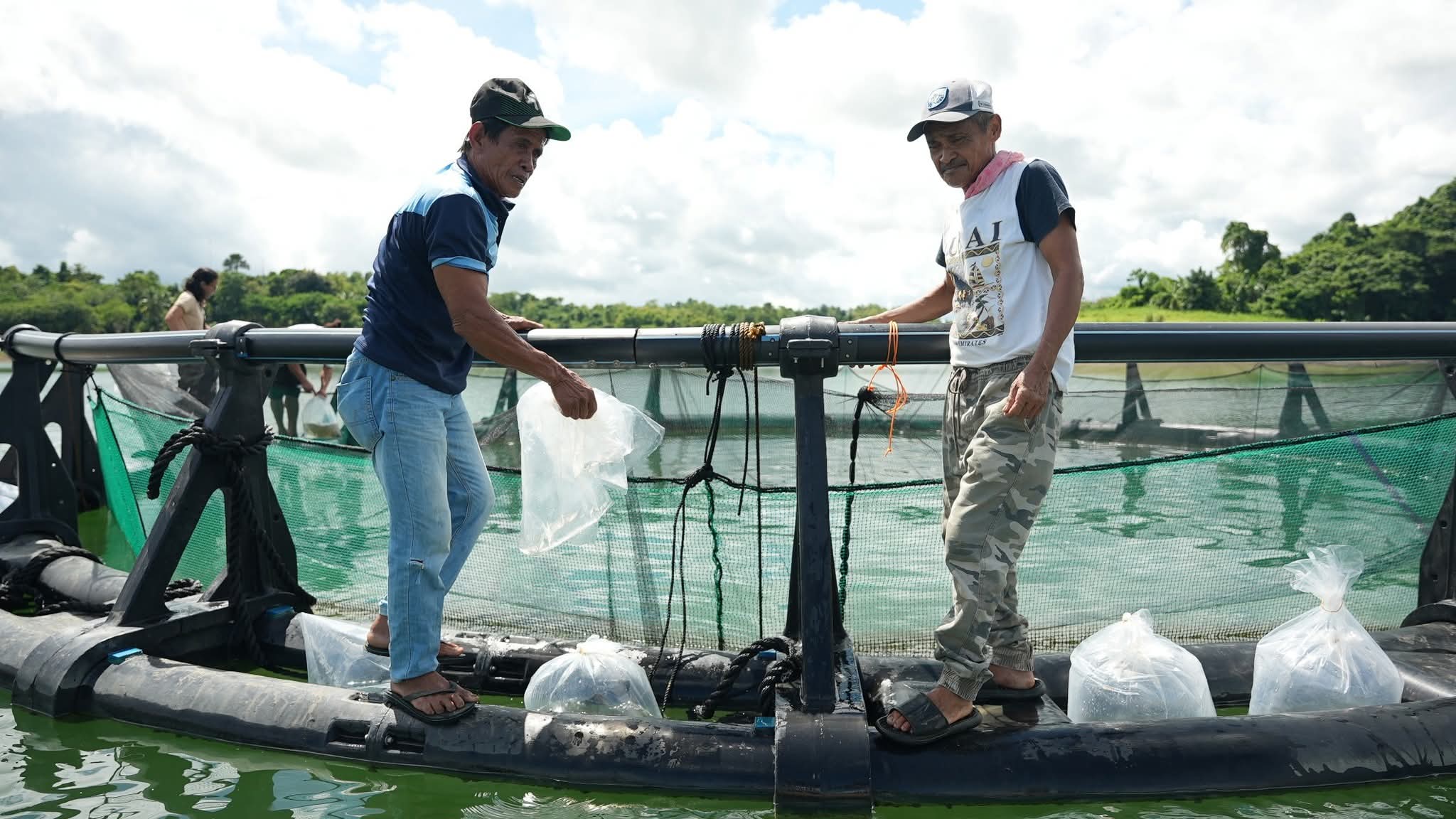 Fish cages, tilapia fingerlings turnedover to people’s organizations in Bohol town