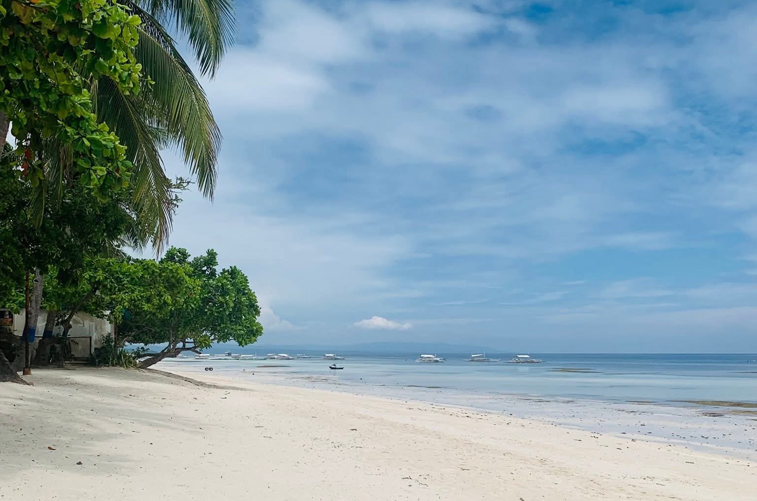 DOT 7 to Bohol: diversify, look beyond beaches, choco, tarsier