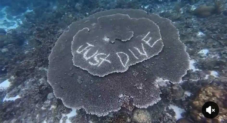 Gov. Aumentado orders probe into coral vandalism in Panglao