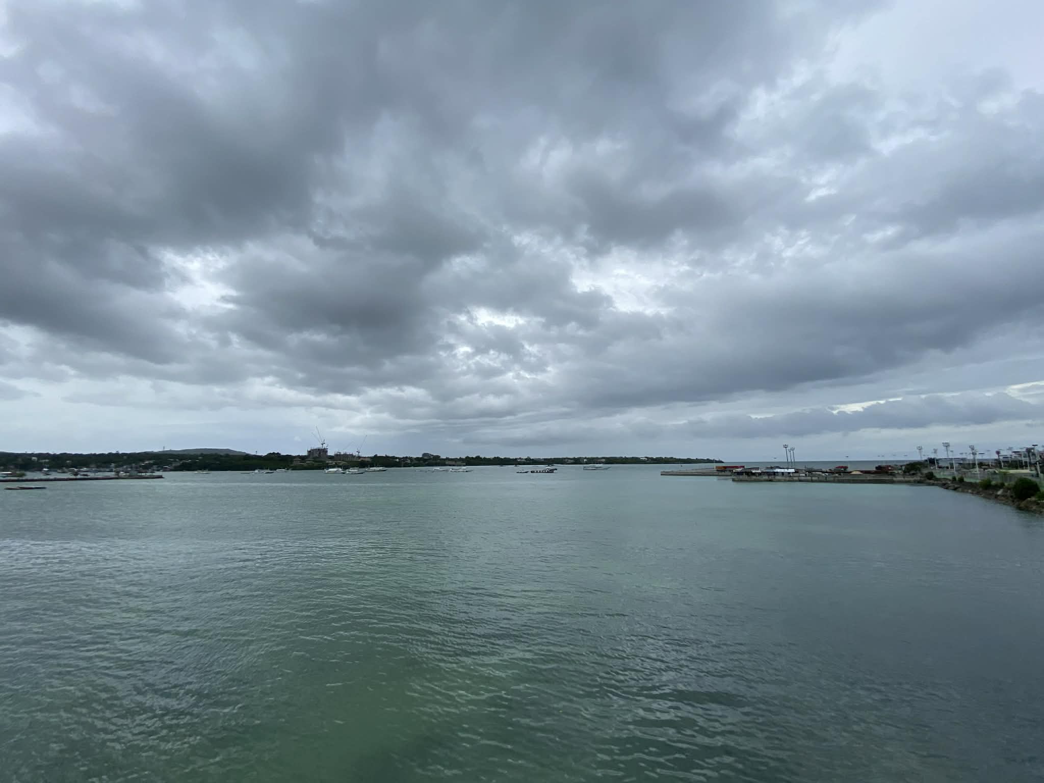 Shellfish gathering banned in Dauis, Tagbilaran after red tide organism detected