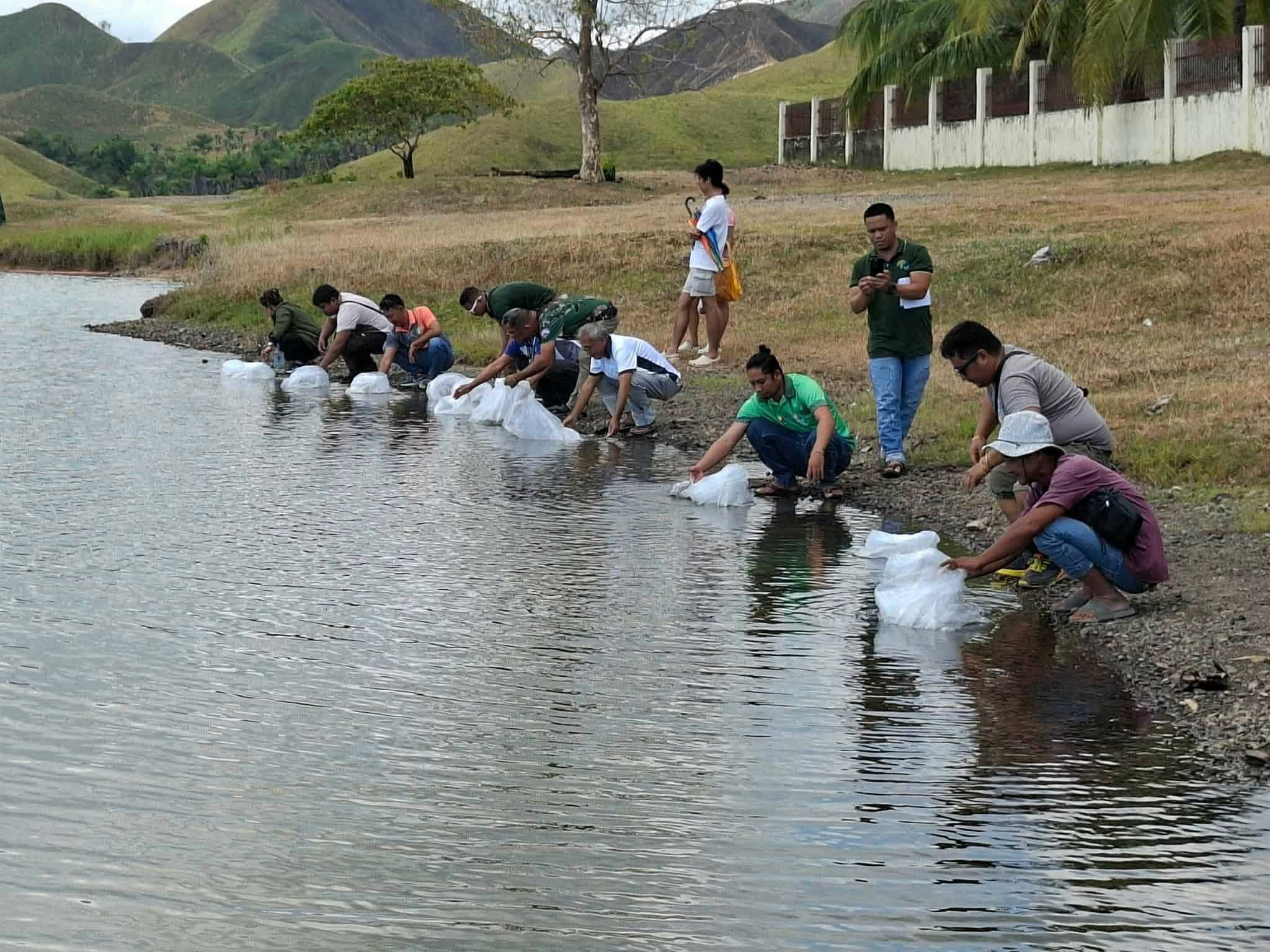 52,000 ka carp fingerlings gibuhian sa Bayongan ug Benliw Dam