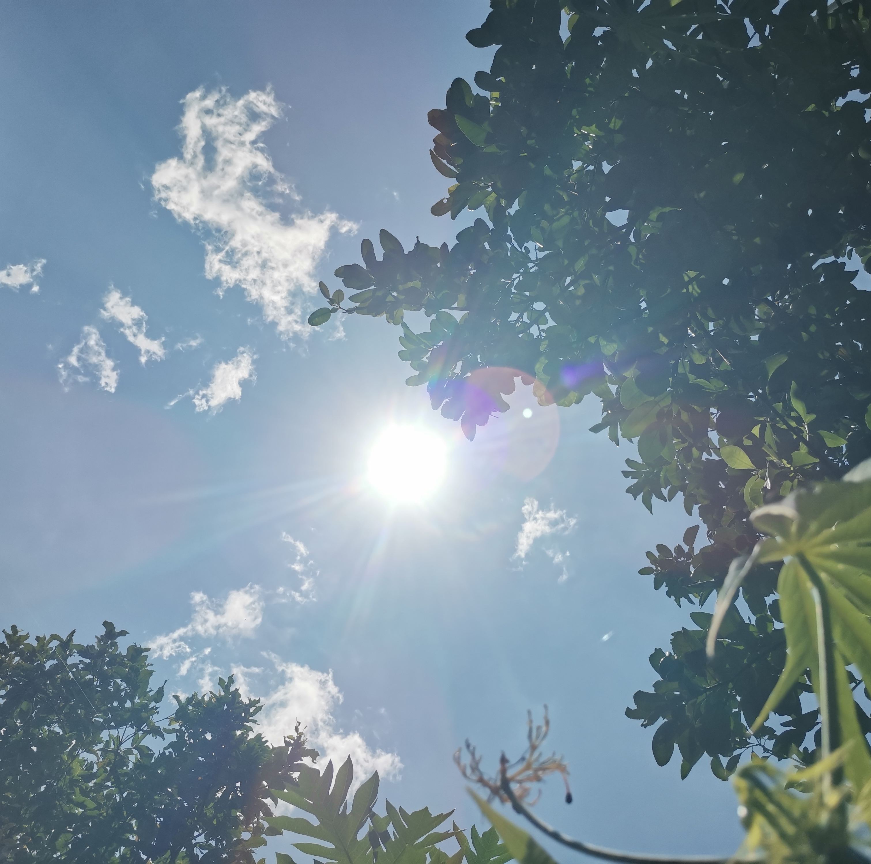 Bohol braces for 39°C heat as Pagasa warns of dangerous heat index levels