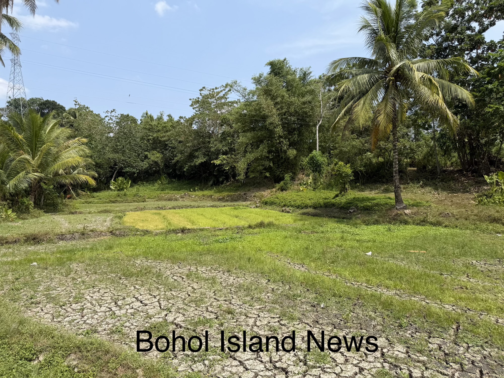 El Niño, mas mograbe sa katapusan sa 2026