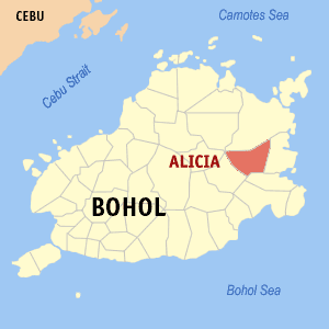 Woman critically injured after jumping off motorcycle during argument in Bohol